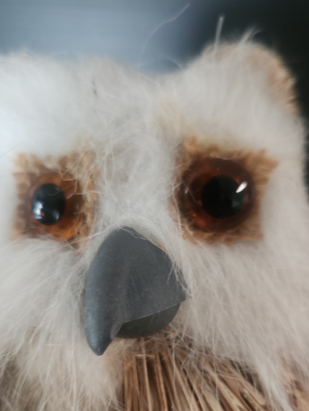 Owl Decor - Picture 6 of 7